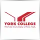 CUNY York College - Philosophy School Ranking