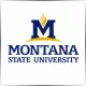 Montana State University - Philosophy School Ranking