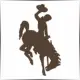 University of Wyoming - Philosophy School Ranking